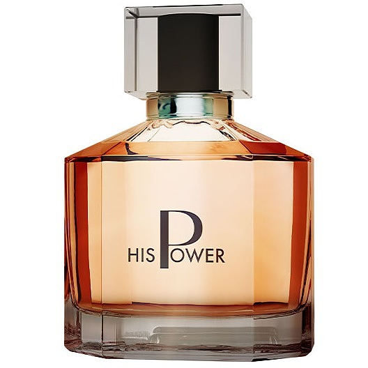 عطر مردانه HIS POWER EDP ERKEK 100 ML فارماسی کد 1000489