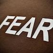 تیشرت1 NO FEAR AT ALL موکا
