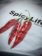 تیشرت1 Spicy آبی