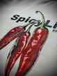 تیشرت1 Spicy سفید