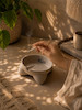 زیرسیگاری پایه دار