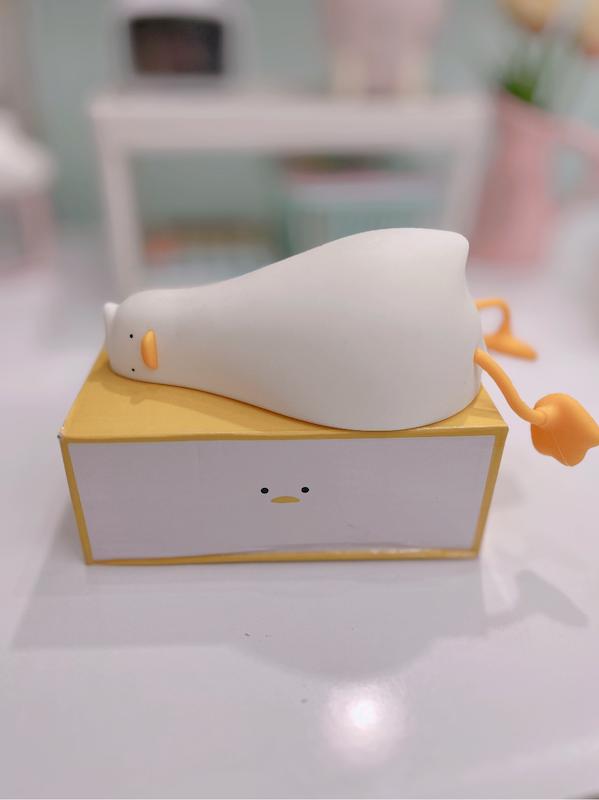 چراغ خواب اردك