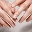 بالم محافظت کننده تندرکر نارنگی ماندارین اوریفلیم  کد محصول 46989