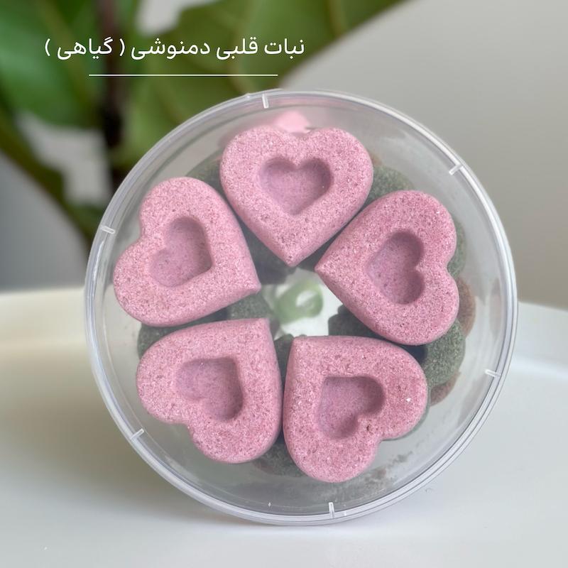 نبات قلبی گیاهی ( دمنوشی ) 