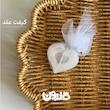 گیفت عقد - نبات قلبی -