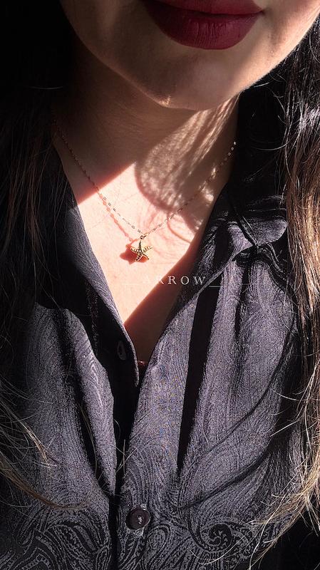 پلاک ستاره دریایی