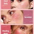 پالت رژگونه 6 رنگ شیگلم مدل Blushing bouquet