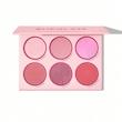 پالت رژگونه 6 رنگ شیگلم مدل Blushing bouquet