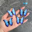 گیره مو کد 207