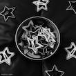 گیره ستاره ⭐️