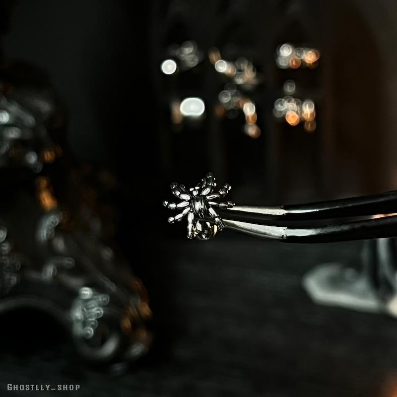 پیرسینگ عنکبوت 🕷️