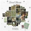 پک پوستر Forest Bloom  °🍃˖ 