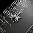 گردنبند عنکبوت🕷️