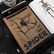 پوستر کرافت Spider 🕷️🕸️