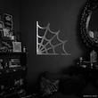آینه تار عنکبوت🕸️🕷️