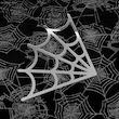 آینه تار عنکبوت🕸️🕷️