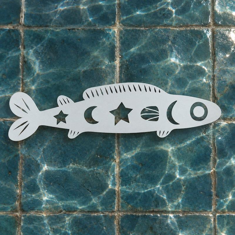 آینه ماهی🐟