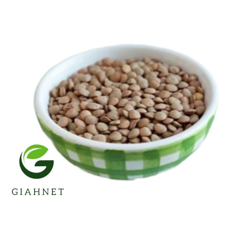 عدس درشت ممتاز