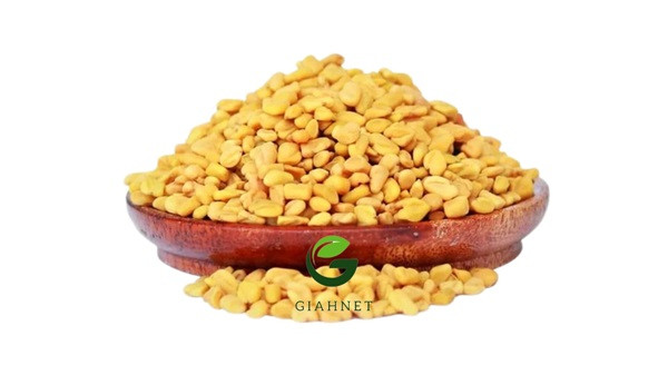خواص تخم شنبلیله