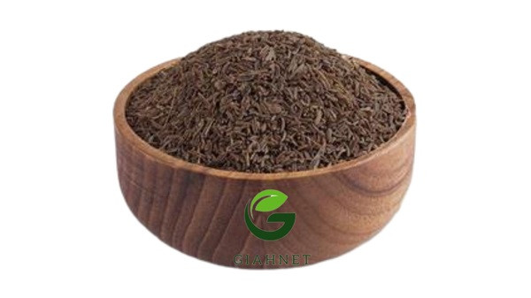 خواص بینظیر زیره سیاه کوهی