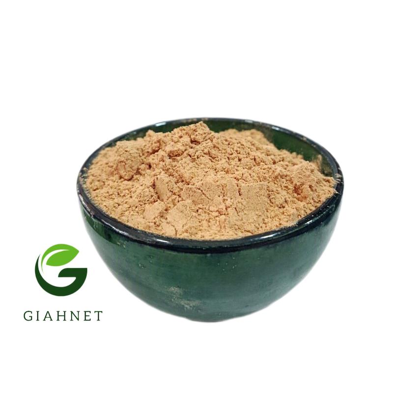 ریشه جوز هندی