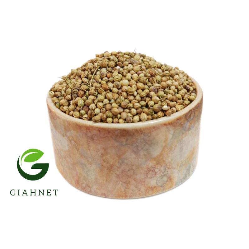تخم گشنیز