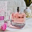 ادکلن ایوسن لورن اماراتی| Fragrance World 