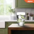 لیوان باروک پاشاباغچه