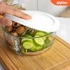 ظرف نگهدارنده شیشه ای پاشاباغچه