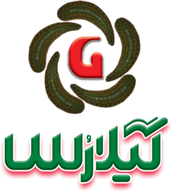 آیا زالو درمانی تاثیر در شفافیت پوست صورت ودرمان جوش و لک دارد؟!