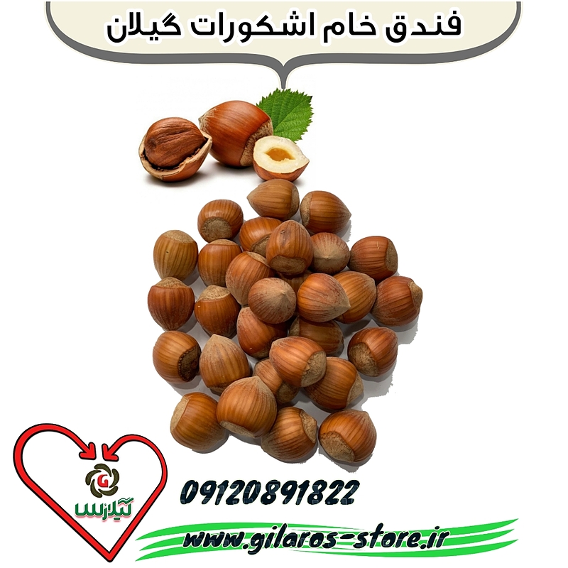 فندق درشت اشکورات گیلان (1کیلو)