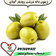 زيتون درجه یک و ( دانه درشت) گیلان 1 کیلو گرمی