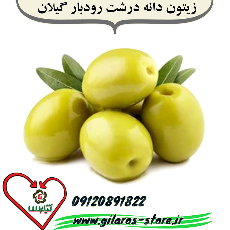 زيتون درجه یک و ( دانه درشت) گیلان 1 کیلو گرمی