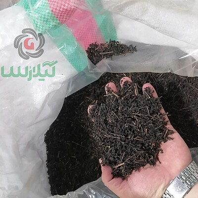 چای سنتی بهاره 1403 گیلارُس لاهیجان درجه یک ( 1 کیلویی ) 