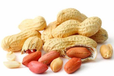 برسی ارزش غذایی بادام زمینی آستانه اشرفیه محصول درجه یک فروشگاه گیلارُس 