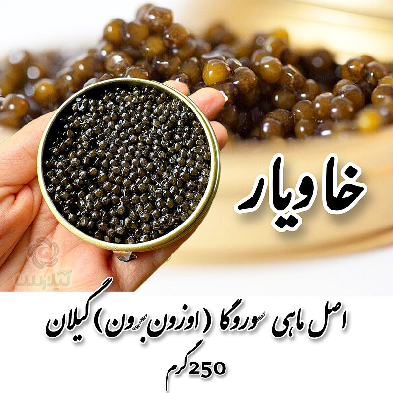 خاویار ماهی سوروگا ( اوزون برون ) گیلان 250 گرمی