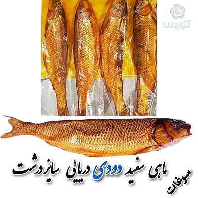 ماهی سفید دودی صید دریا ( درشت )