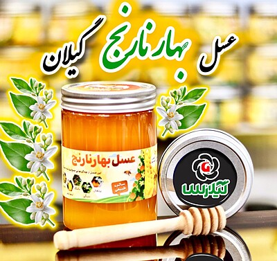 عسل بهار نارنج استان گیلان (یک کیلویی)