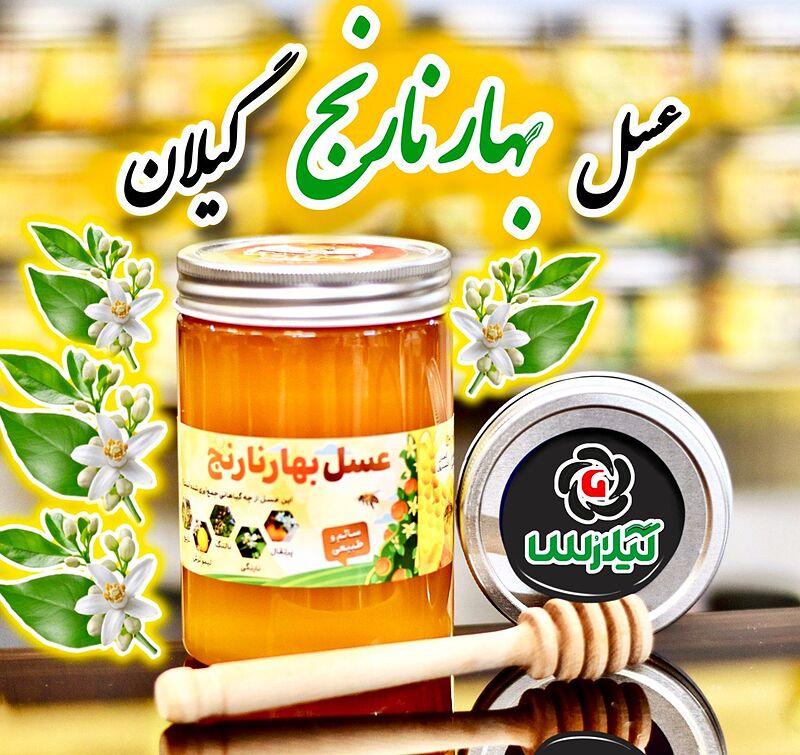 عسل بهار نارنج استان گیلان (یک کیلویی)