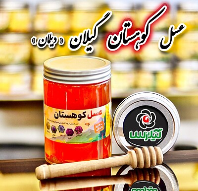 عسل کوهستان دیلمان ( آویشن و گون ) ۱ کیلویی 