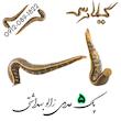 پک ( 5 عددی ) زالو طبی و بهداشتی گیلارُُس