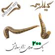 فروش پک 200 عددی زالو طبی و بهداشتی گیلارُس ( ارسال رایگان)