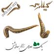 فروش پک 50 عددی زالو طبی و بهداشتی گیلارُس ( ارسال رایگان)