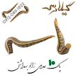 پک 10 عددی زالو طبی و بهداشتی گیلارُس