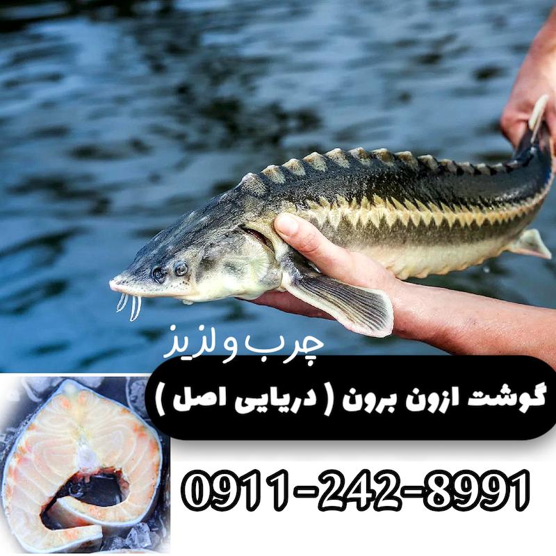 گوشت ازون برون صید دریایی ( اصل ) چرب و لذیذ