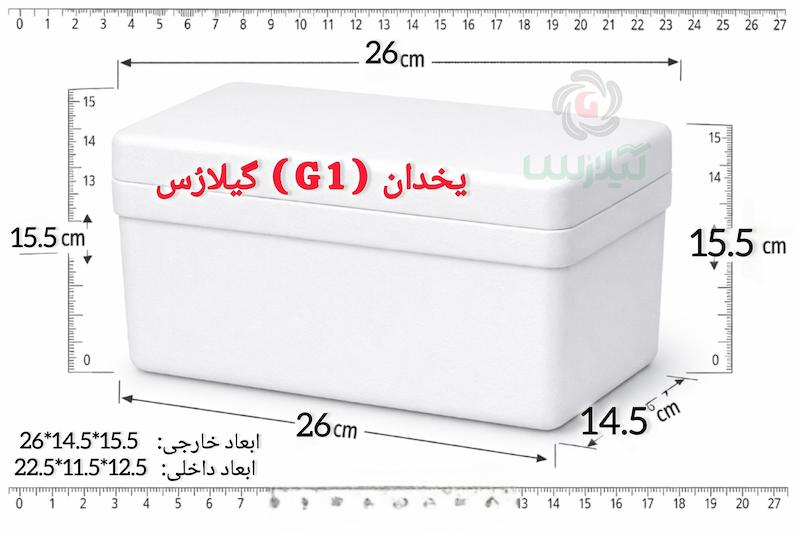 یخدان کول باکس دارویی