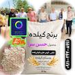 برنج حسن سرا گیلده آستانه اشرفیه قد بلند و معطر پنبه ای ۱۰ کیلویی