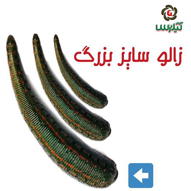 فروش  عددی زالو طبی 7 الی 9 سانت سایز بزرگ و بهداشتی گیلارُس