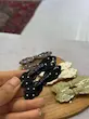 کیلیپس پاپیون خال خالی