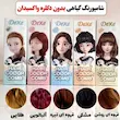 شامپو رنگ مو شانه دار دکسی 200 میل رنگ‌دهی سریع، بدون آمونیاک Dexe hair color comb